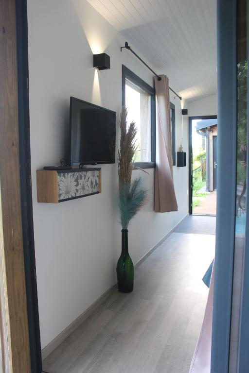 a living room with a television and a vase with a plant at Lodges Mont-Vert in Le Robert