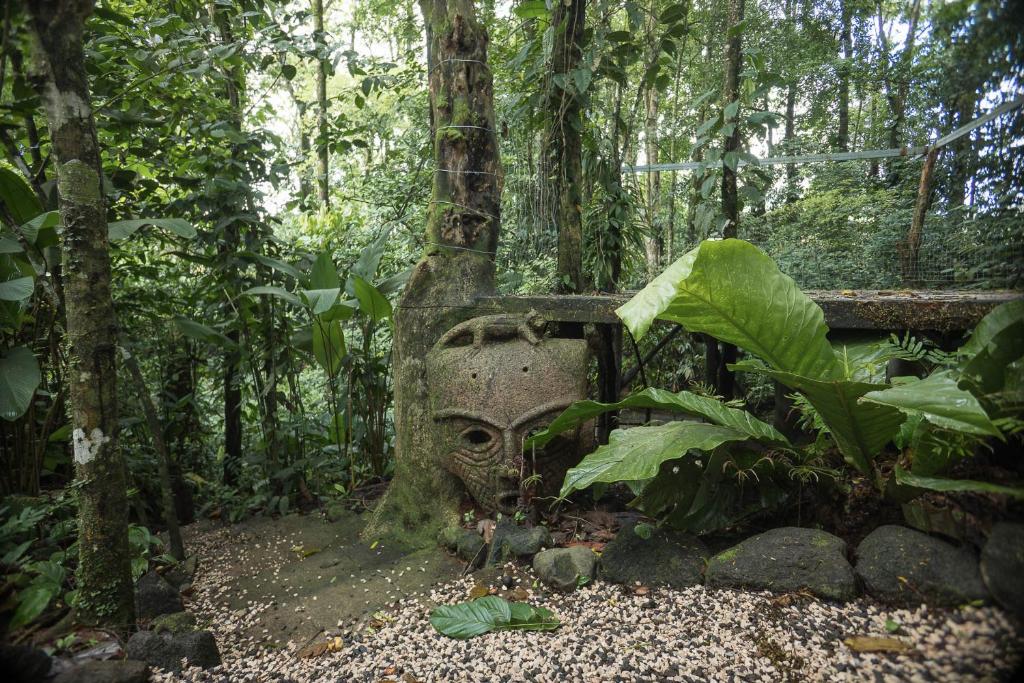 Zahrada ubytování Cabañas del Rio