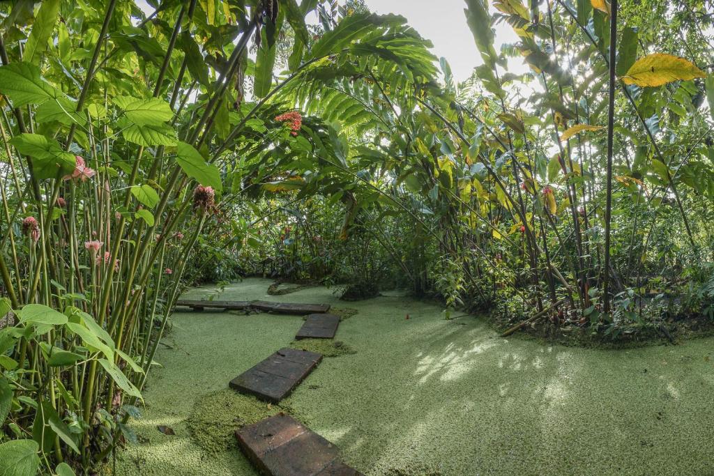 Zahrada ubytování Cabañas del Rio