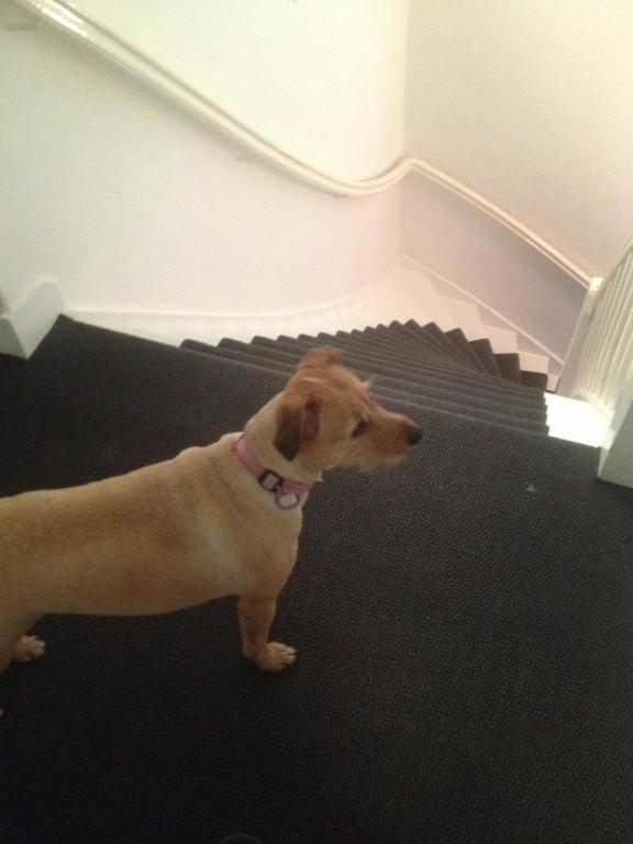 Hotel Zeespiegel - Resim 34