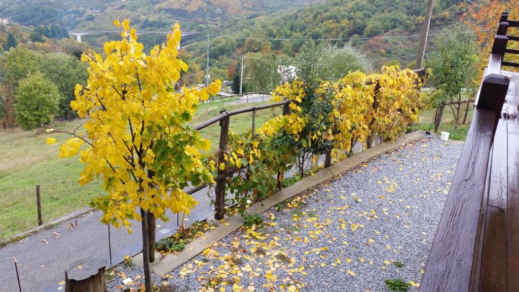 Agriturismo Pietro Falcone - 
