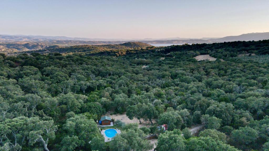 [Oschiri - Lago Coghinas] Super riservato con piscina - Housity