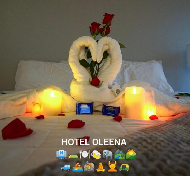 Postel nebo postele na pokoji v ubytování Oleena Home Stay