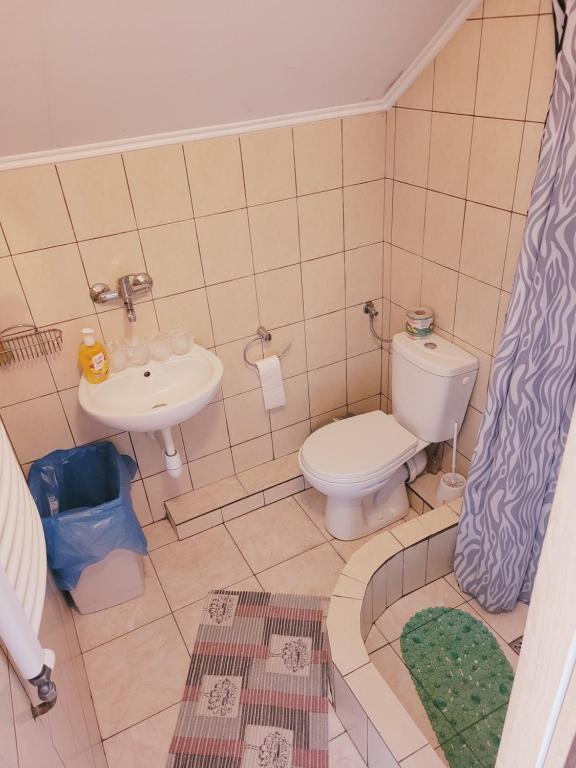 Kúpeľňa v ubytovaní Delmajk - pokoje pracownicze