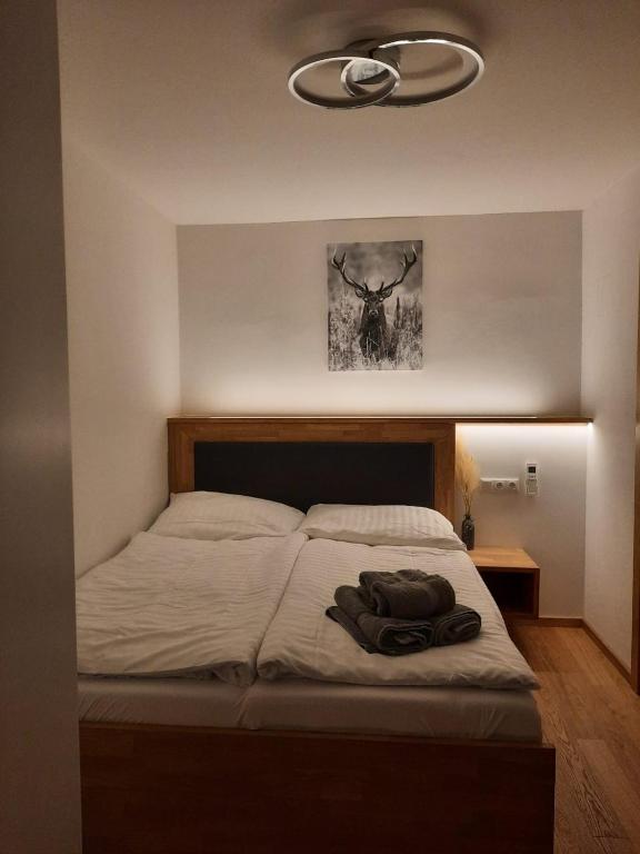 Postel nebo postele na pokoji v ubytování Mini-Apartment Admont