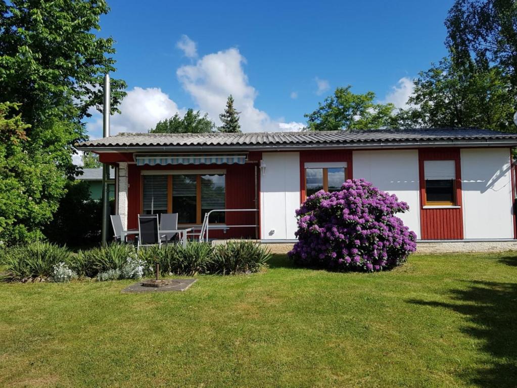 une petite maison blanche avec des fleurs violettes dans la cour dans l'établissement Feriendomizil am Zeulenrodaer Meer, à Zadelsdorf