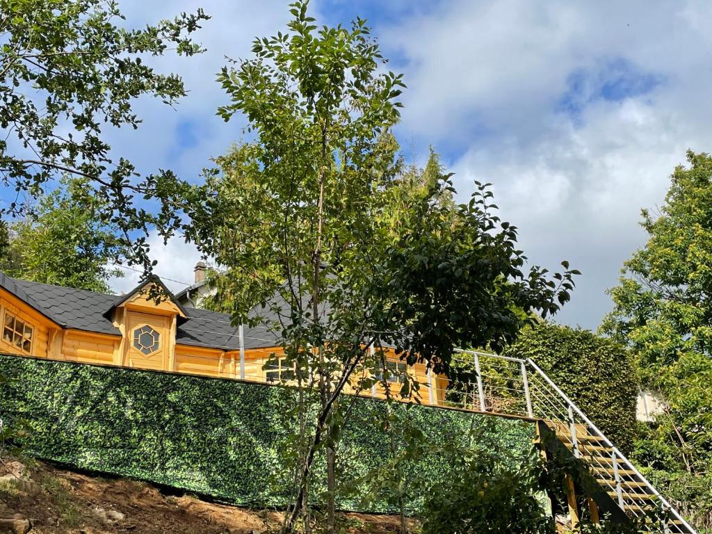 Zahrada ubytování Alsace kota évasion & Spa la canopée