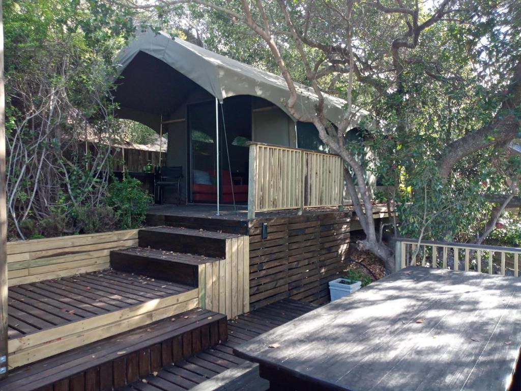 The Wild - Glamping in Wilderness - Image 13