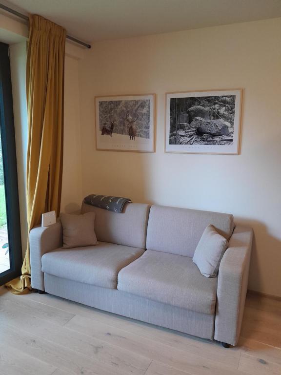 Fotografie z fotogalerie ubytování Apartmán pod Jasanem Hojsova Stráž Brčálník v destinaci Železná Ruda