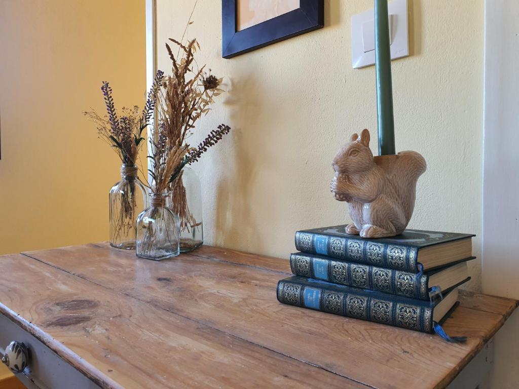 um gato sentado numa pilha de livros sobre uma mesa em Apartamento rural La Encina Complejo La Fontanina em Mata de Alcántara