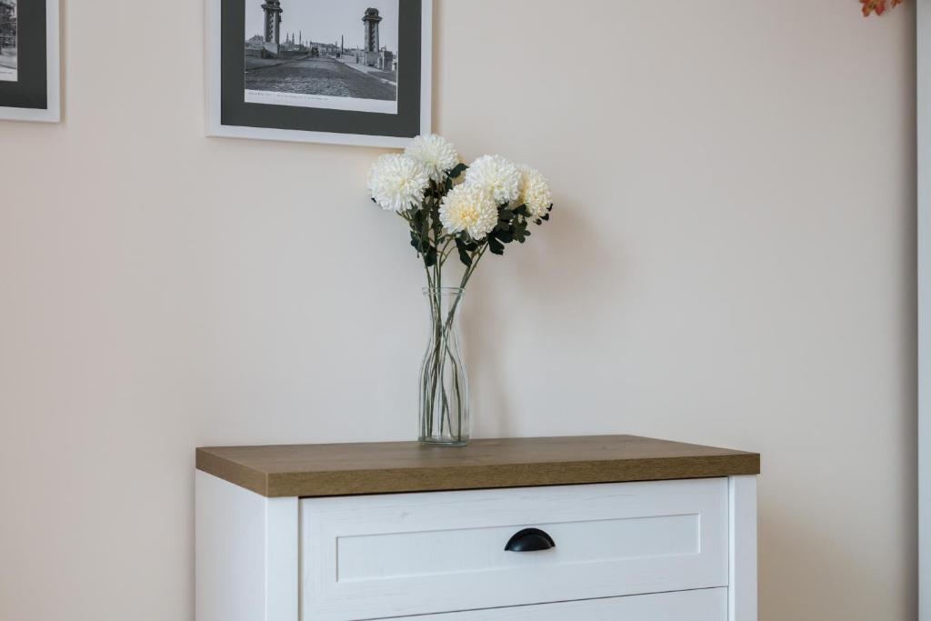 Fotografia z galérie ubytovania Kosińskiego Apartment Poznań by Noclegi Renters v Poznani