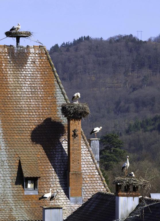 Nespecifikovaný výhled na hory nebo výhled na hory při pohledu z hotelu