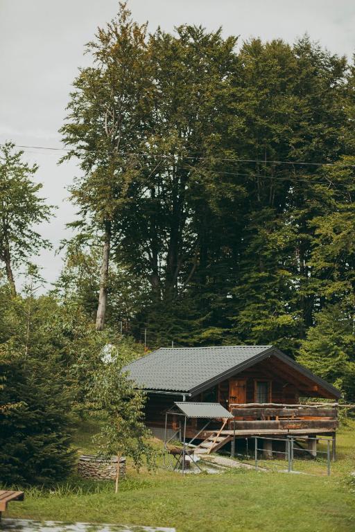 a log cabin in the middle of a forest at Dolyna Mykolaya in Migovo