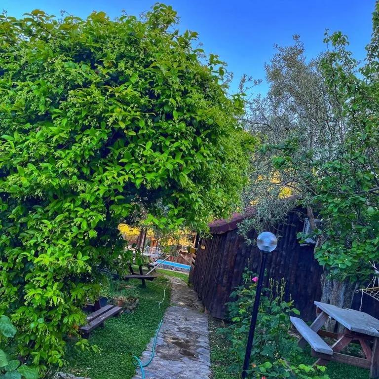 Zeytindağı bungalow - Camera Re Con Vista Da Giardino