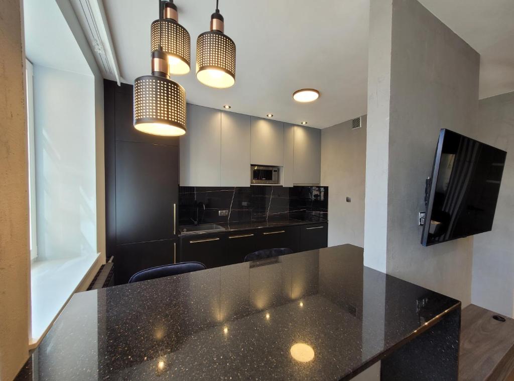 Kuchyňa alebo kuchynka v ubytovaní Apartament Stare Miasto Gdańsk z widokiem na Motławę