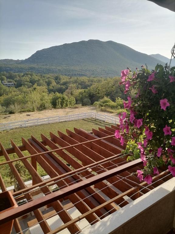 Príroda v okolí apartmánu