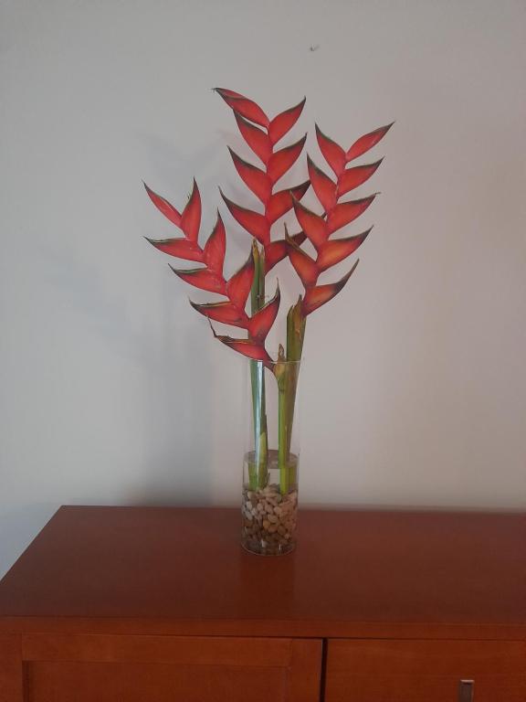 eine Vase mit roten Blumen auf einem Holzschrank in der Unterkunft Recanto da Madeira. in Ribeira Brava