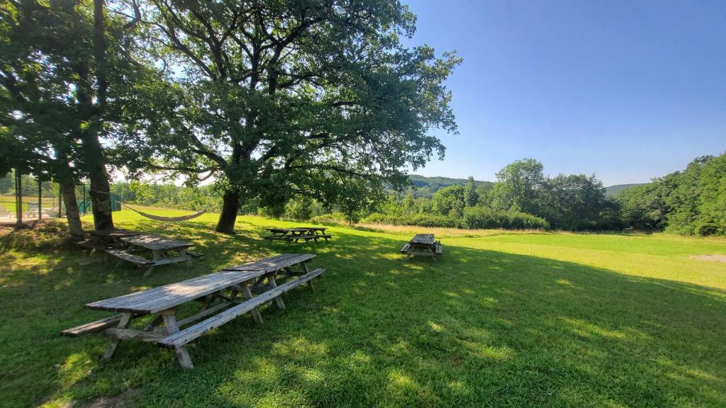 un parco con tavoli da picnic e un albero di Village Bord de Ciel a Caylus