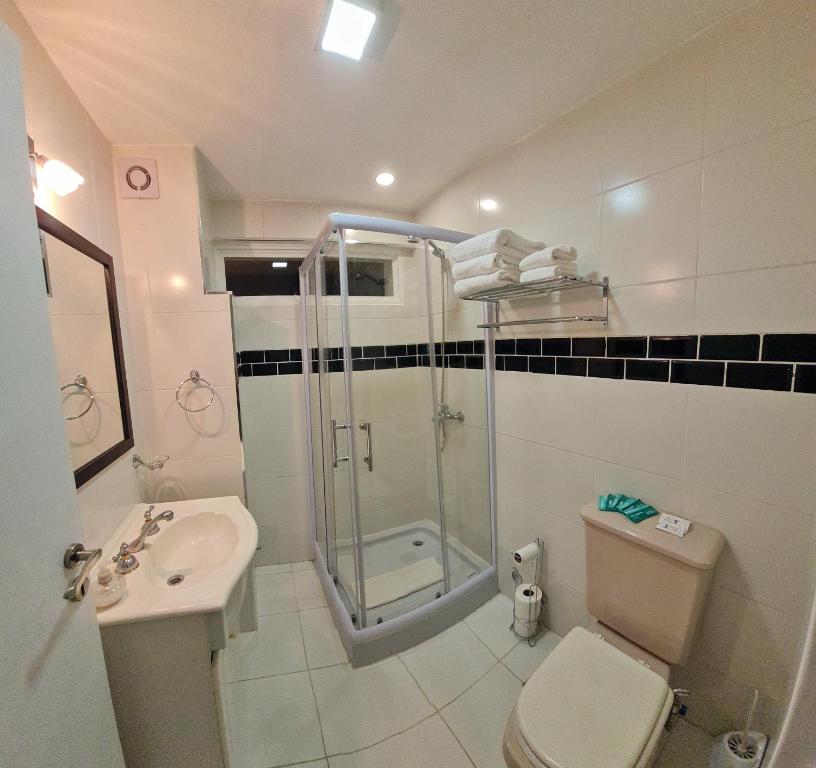W łazience znajduje się prysznic, toaleta i umywalka. w obiekcie Departamento Ushuaia 2 dormitorios w mieście Ushuaia