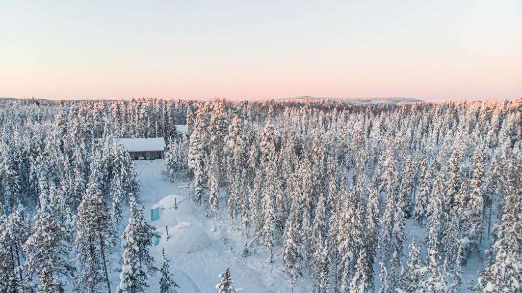 an aerial view of a snow covered forest with trees at Pandomes Aurora Igloo Hotel in Rovaniemi