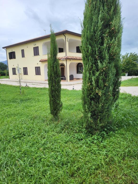 deux arbres dans l'herbe devant un bâtiment dans l'établissement La casa di Ilenia e Alessia, à Piana di Caiazzo