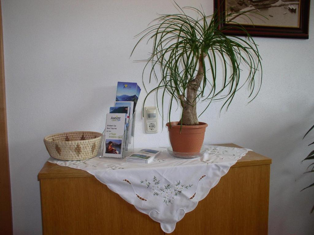 a table with a potted plant on top of a cabinet at Haus Waldfriede in Pertisau