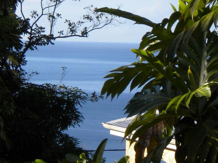 una vista sull'oceano da dietro un albero di GWAN THAZAR en Guadeloupe a Bouillante