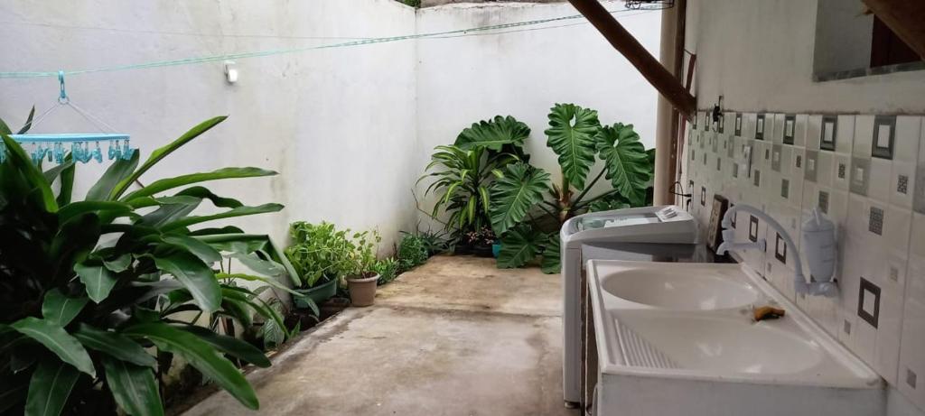 a bathroom with a sink and a bunch of plants at Casa Versel Trancoso in Trancoso