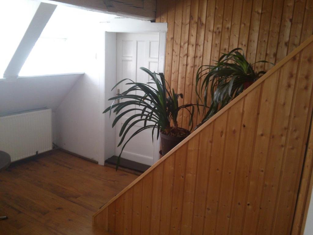 Fotografie z fotogalerie ubytování Apartmán 141 v destinaci Chřibská