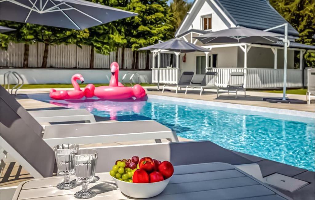 una piscina con dos flamencos rosas y un bol de fruta en 2 Bedroom Awesome Home In Kolczewo en Kołczewo