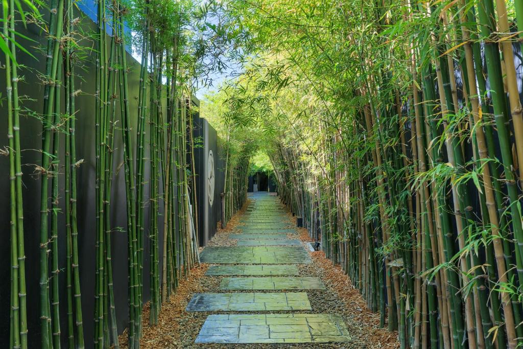 Villoft Zen Living Resort - King Studio