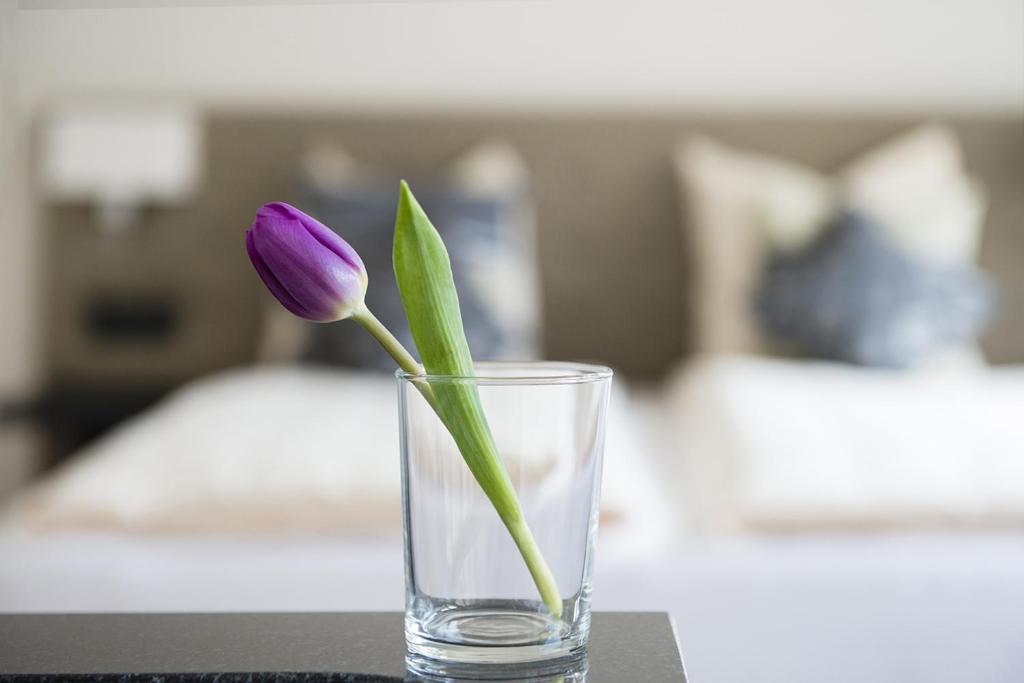 Swiss Star Longstreet - Self Check-In - Resim 14