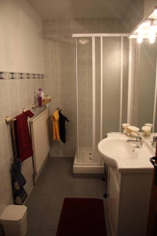 a bathroom with a shower and a sink at Hôtel Les Charmilles de Mormal in Landrecies