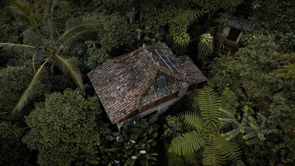 Kebun Kita Eco Lodge - Housity
