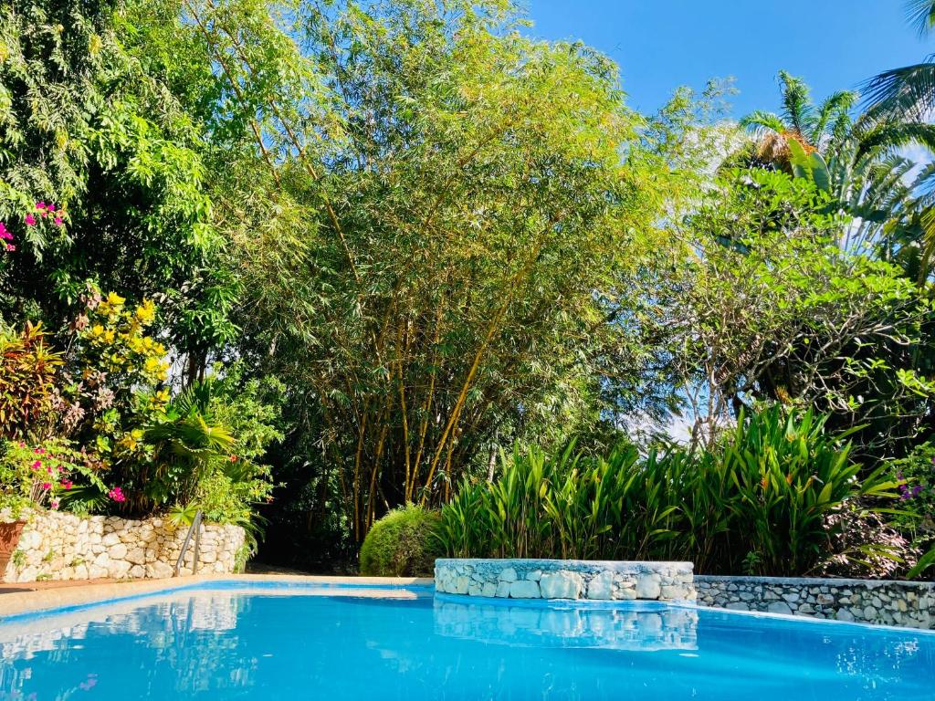 einen Pool in einem Garten mit Bäumen in der Unterkunft Whispering House in Tangalle