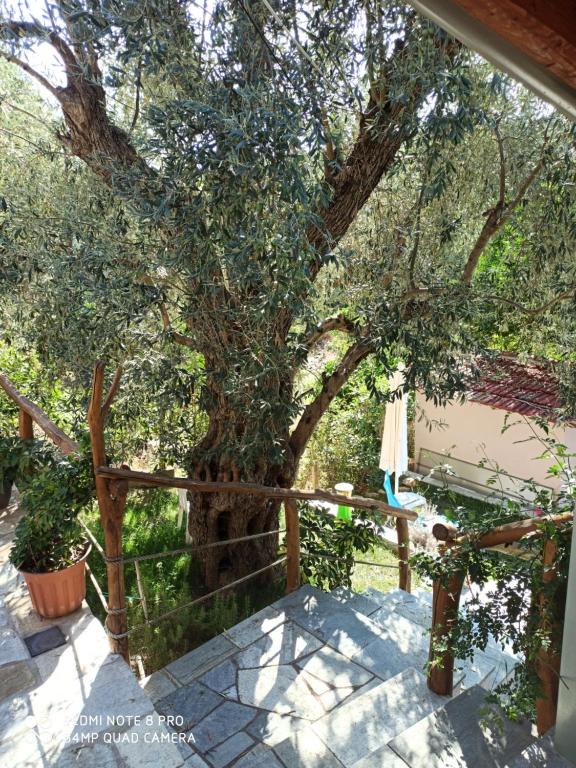 Fotografia z galérie ubytovania Glyfada Bay Studios v destinácii Varlamaíika