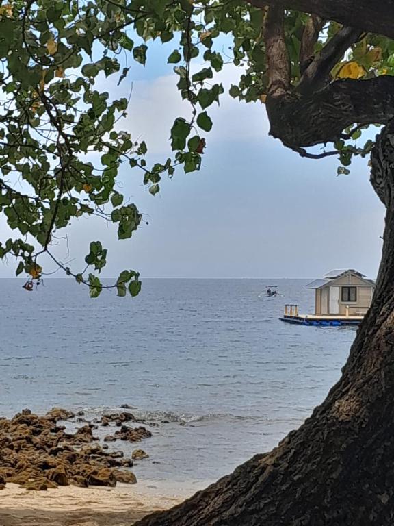 Φυσικό τοπίο κοντά σε αυτό το bed & breakfast