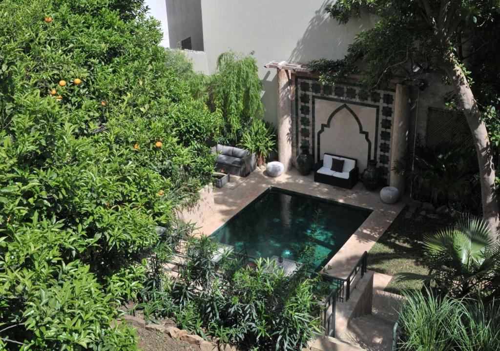 a swimming pool in the middle of a garden at La Maison de Tanger in Tangier