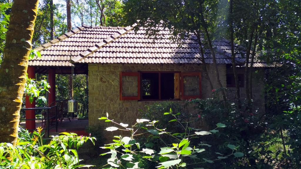 a small house in the middle of a forest at Indhrivanam in Thekkady