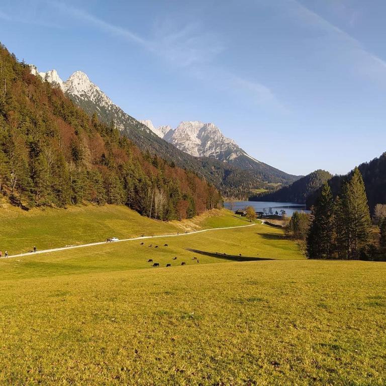 Fotografia z galérie ubytovania Haus Waltl v destinácii Sankt Johann in Tirol