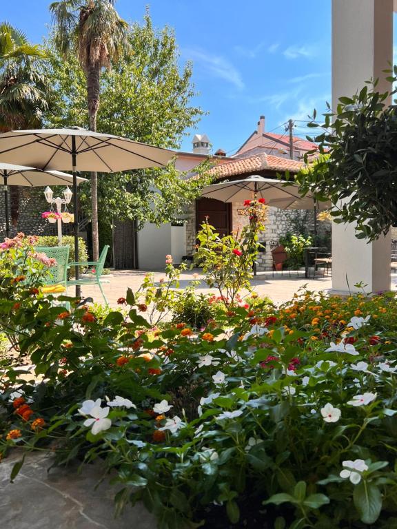 Zahrada ubytování Hotel TREVA