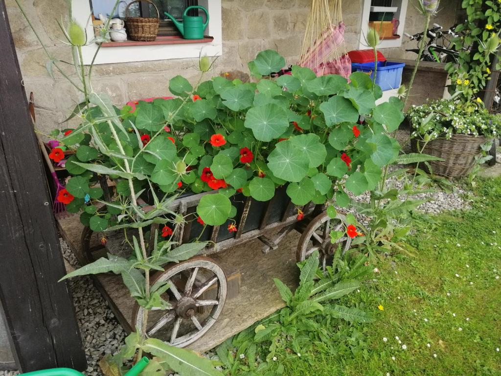 Zahrada ubytování Penzion Nadějov
