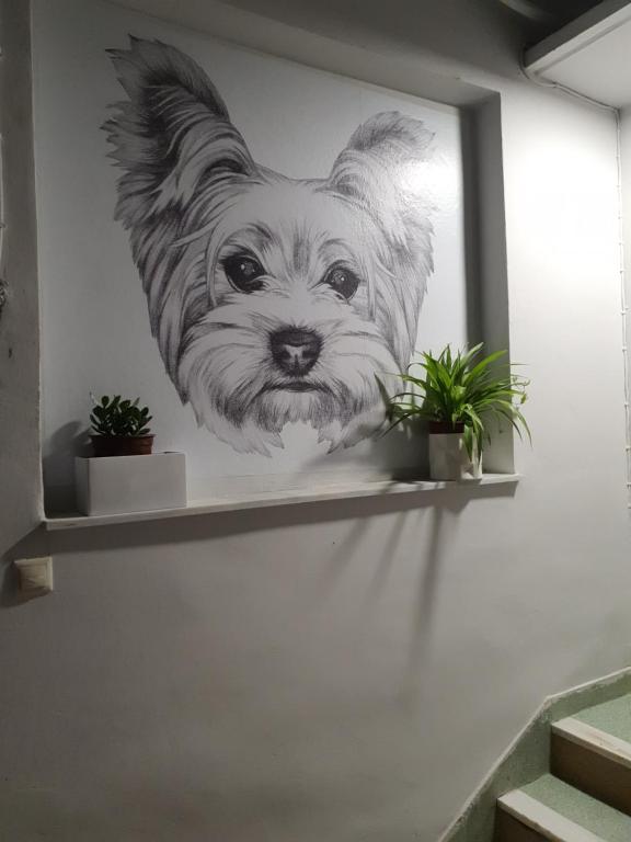 a painting of a dog on a wall at Larry's little place in the center of Gytheio in Gythio