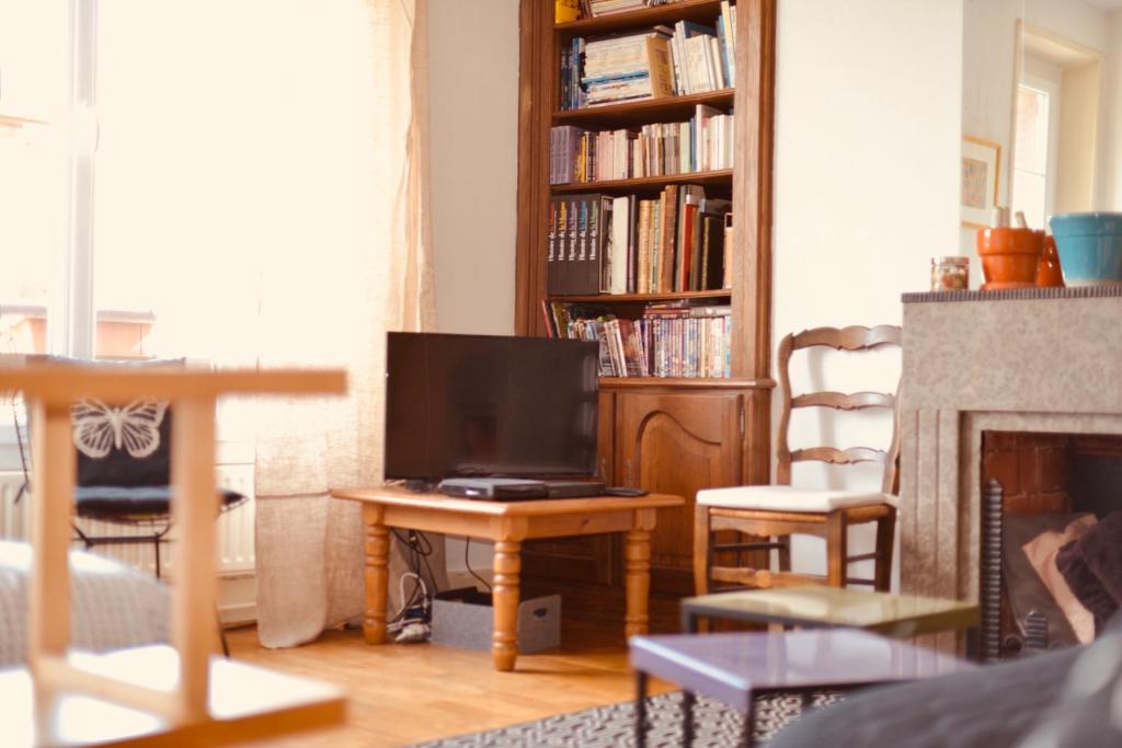 een woonkamer met een tv en een open haard bij Kazanad-Appartement lumineux et spacieux-Chambéry in Chambéry
