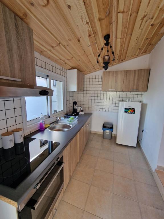Kuchyň nebo kuchyňský kout v ubytování Aprosmeno Jacuzzi House 4