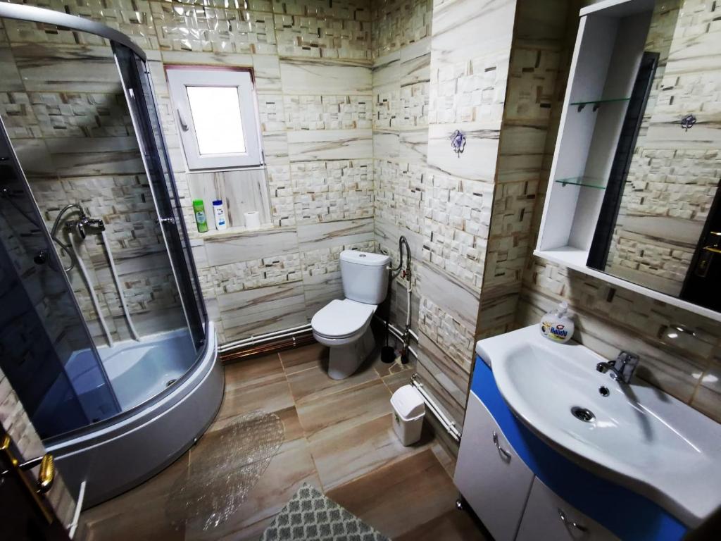 MălăeştiにあるCasa Rusuのトイレと洗面台付きのバスルーム