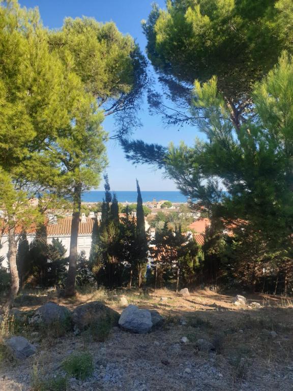 Príroda v okolí apartmánu