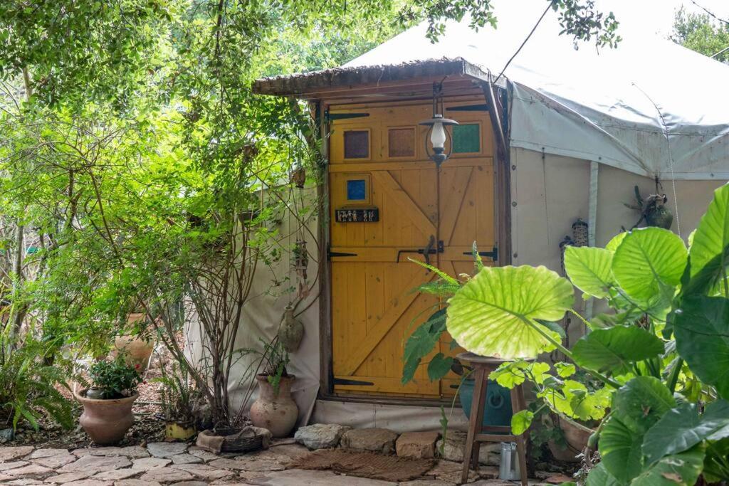 Zahrada ubytování The Yurt in Abirim