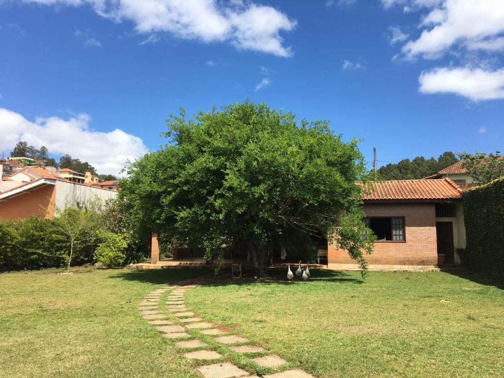 un árbol en un patio al lado de una casa en Chalé Aconchegante, en Maria da Fé