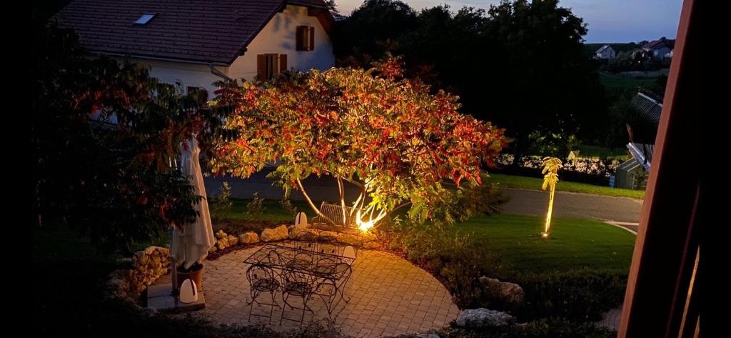 Zahrada ubytování Ferienwohnung Berghausen